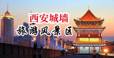 国产精品群换妻中国陕西-西安城墙旅游风景区